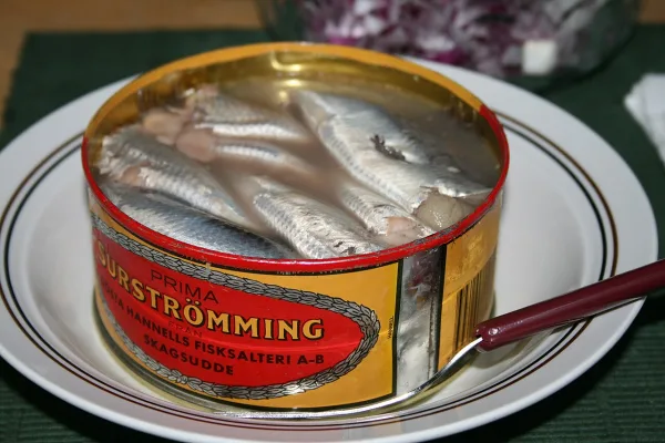 Opened can of surströmming on a plate
