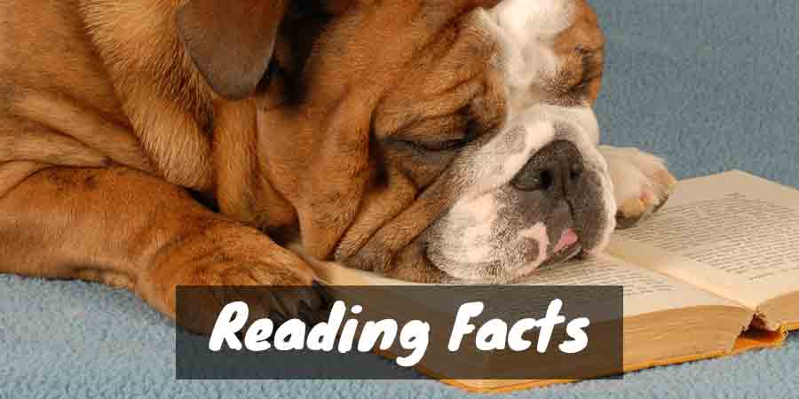 Reading facts